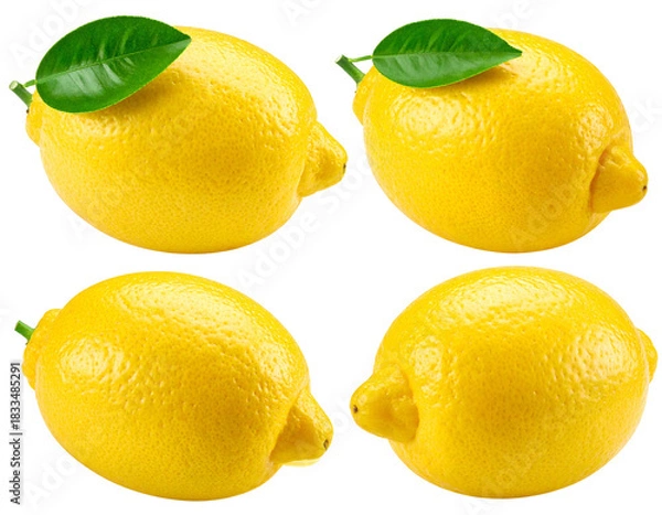 Fototapeta Four bright yellow lemons with green leaves on a plain black backdrop