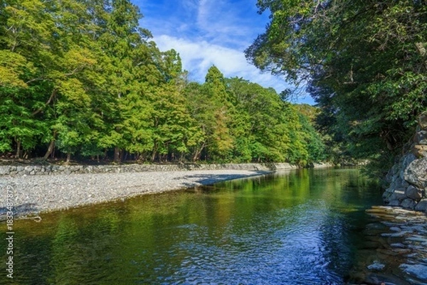 Fototapeta 青空バックに見る清らかな清流五十鈴川の情景