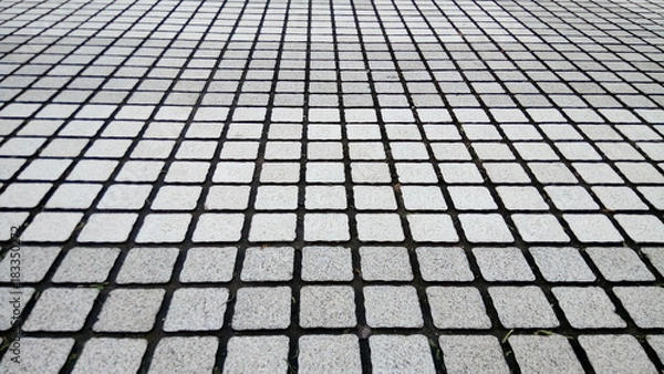 Obraz Grid floor background