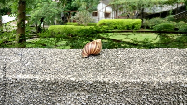 Obraz Snail on stone wall