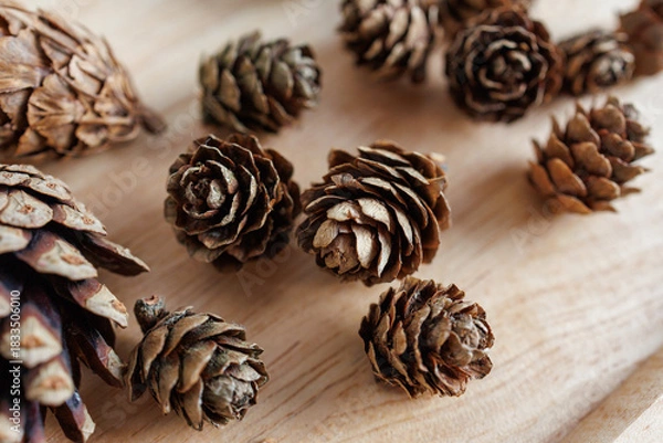 Fototapeta pine cones natural christmas decor rustic winter background