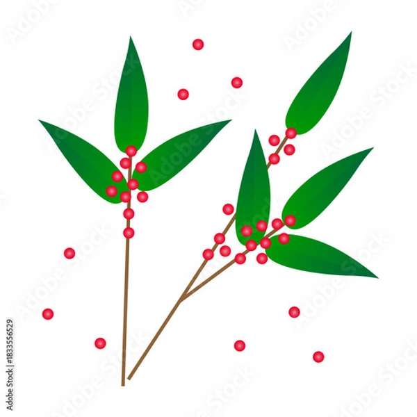 Obraz シンプルな南天と赤い実のイラスト素材