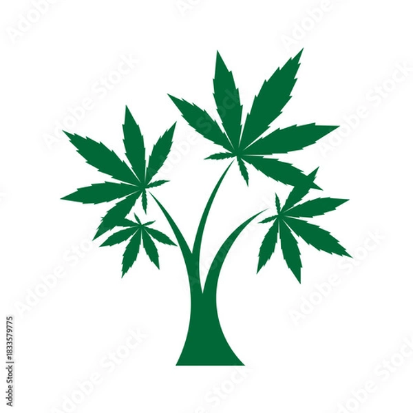 Obraz Cannabis logo icon design