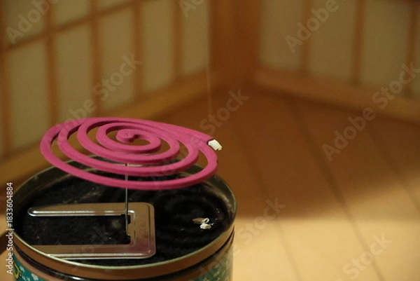 Obraz 蚊取り線香