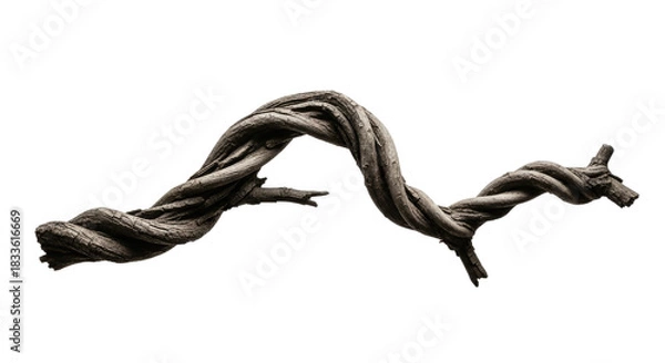 Fototapeta Twisted Tree Branch with Artistic Form.