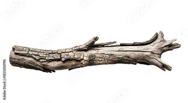 Fototapeta Weathered Driftwood Log on Beach Shoreline.