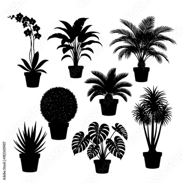 Obraz Black and white illustration of various potted plants including palm trees and succulents