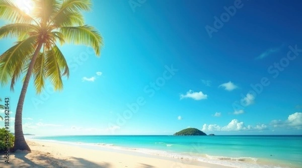 Fototapeta Idyllic tropical beach scene with palm tree and turquoise ocean