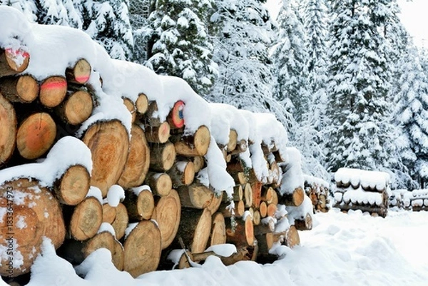 Fototapeta stack of firewood