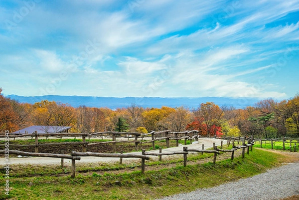 Obraz 秋晴れの空の下、観光牧場からの素晴らしい眺望