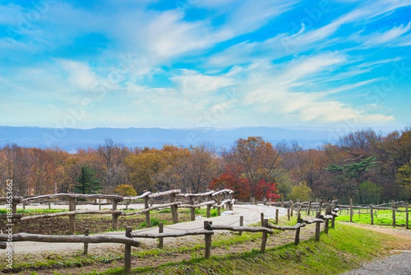 Obraz 秋晴れの空の下、観光牧場からの素晴らしい眺望