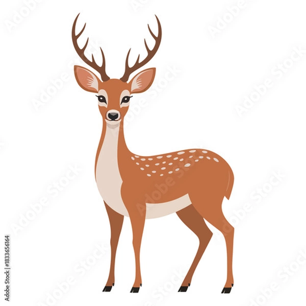 Obraz deer vector illustration