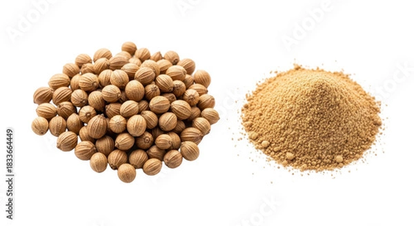 Obraz Pile of coriander seeds and ground coriander spice isolated PNG with Transparent Background