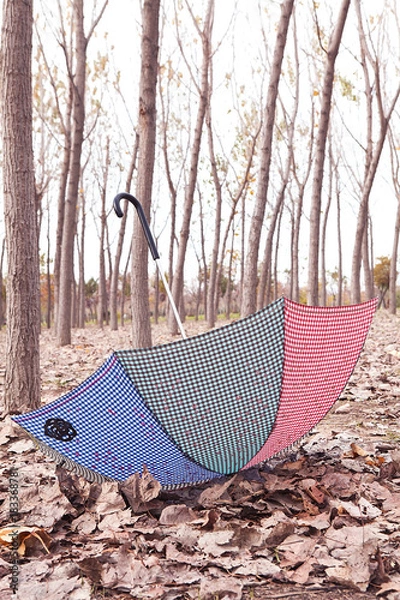 Fototapeta uçan şemsiye