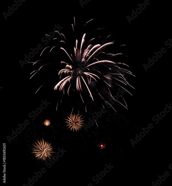 Obraz Colorful firework sparkling on black background for celebration and anniversary