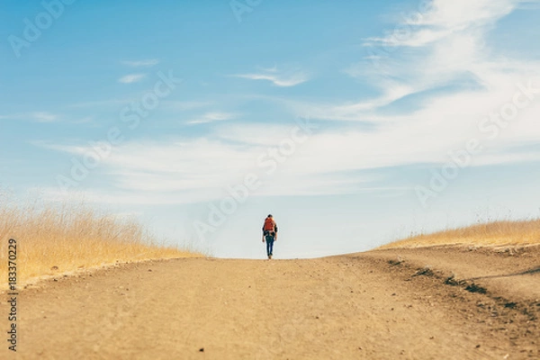 Obraz a long walk home