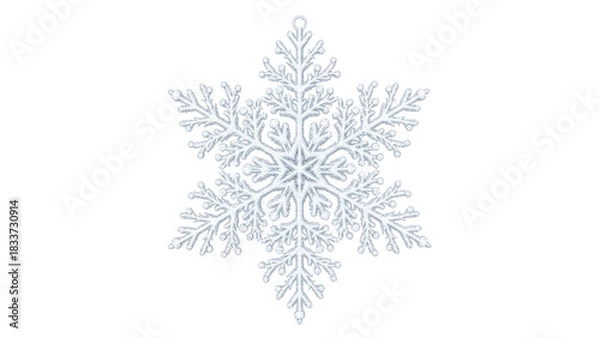 Fototapeta White intricate snowflake ornament isolated frosted details