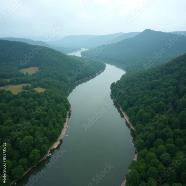 Obraz Aerial view of a wide river winding through lush green forested mountains