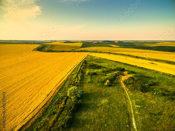 Fototapeta Endless Fields aerial view