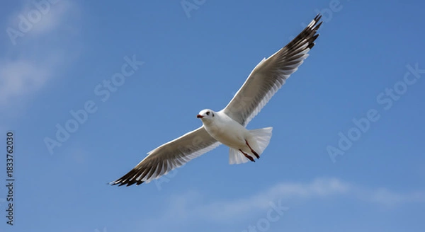 Fototapeta . AI Generated