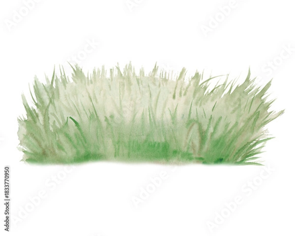 Fototapeta Watercolor green grass illustration. Realistic image of a lawn on an isolated background. A botanical clipart for summer design