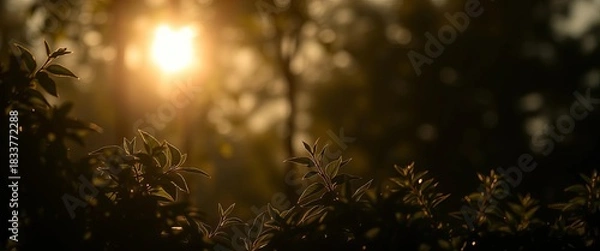 Obraz Silhouetted foliage glows against a bright light source, backlit,  background