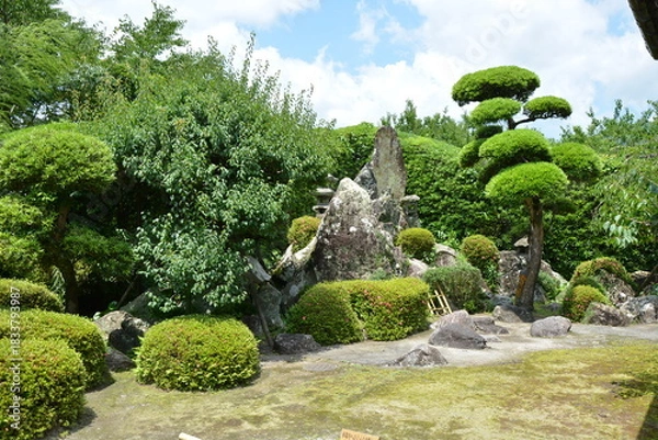 Fototapeta 美しい日本庭園