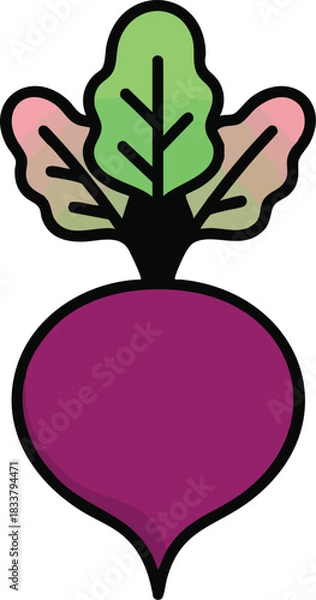 Obraz Purple beetroot with green-pink leaf