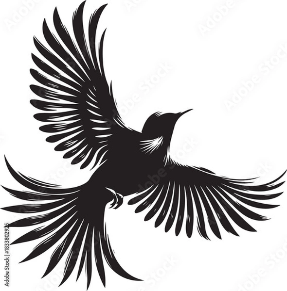 Obraz eagle vector illustration