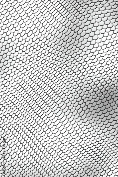 Obraz Silver snake scales pattern. Vector illustration