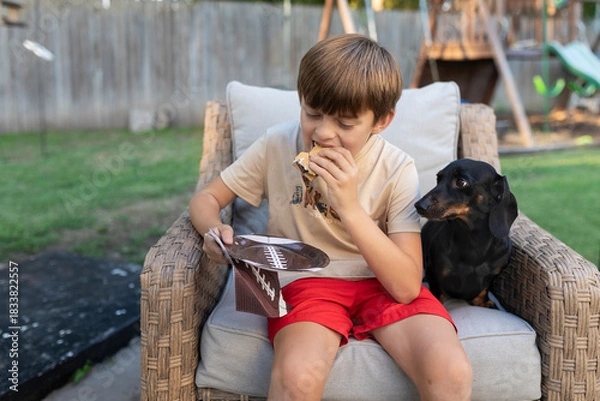 Fototapeta Boy sitting on chair and eating a s'mores with a dachshund next to him