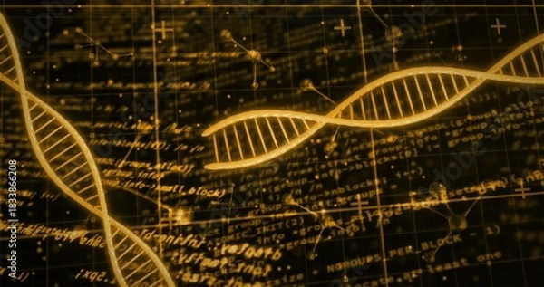 Fototapeta Floating golden DNA double helix centering in digital interface, with formulas and grid
