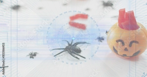 Obraz Centering black spider lying within radar markings on white tabletop, with orange pumpkin container
