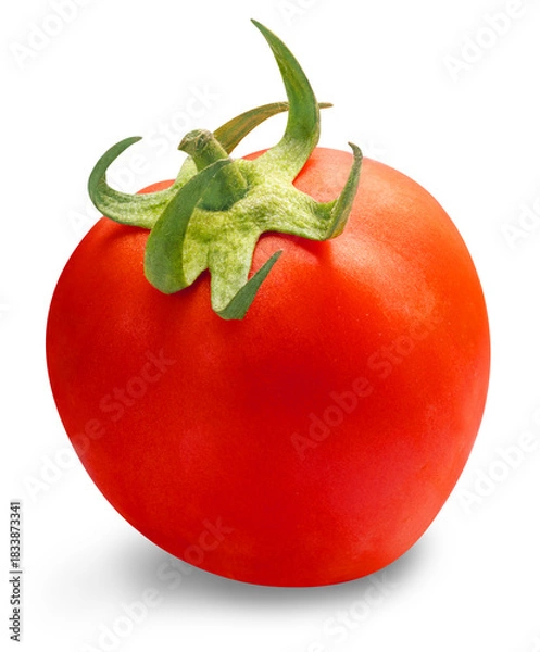 Fototapeta Fresh Red ripe tomato isolated on white background with clipping path.