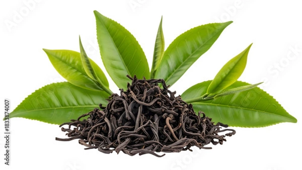 Fototapeta Black tea leaves and fresh green leaves isolated on transparent background
