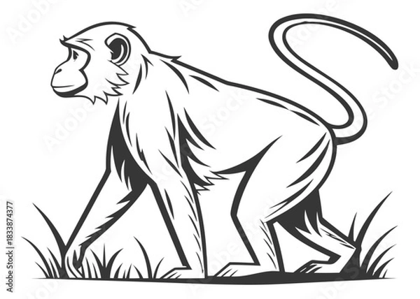 Obraz Stylized line art monkey walking through grass