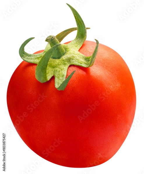 Fototapeta Fresh Red ripe tomato isolated on white background with clipping path PNG File.