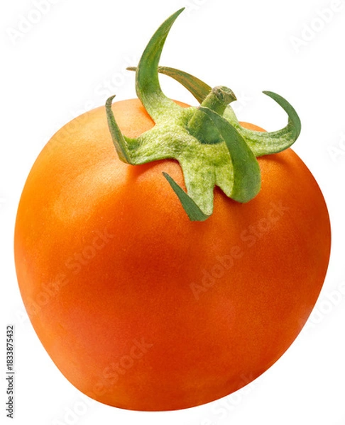 Fototapeta Fresh Orange ripe tomato isolated on white background with clipping path PNG File.
