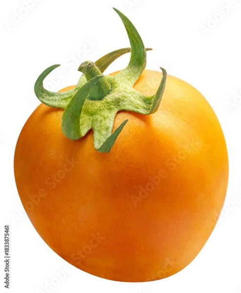 Fototapeta Fresh Yellow ripe tomato isolated on white background with clipping path PNG File.