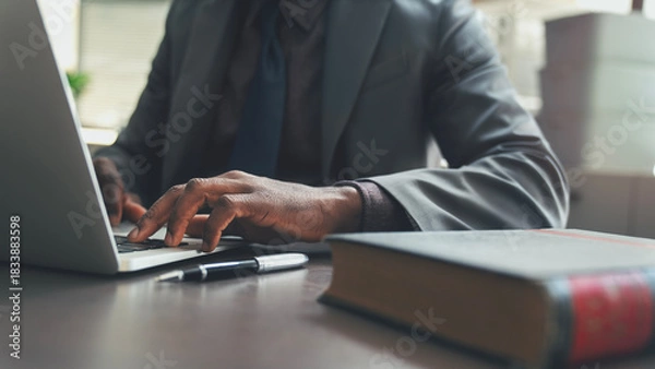 Fototapeta Lawyer using laptop in office