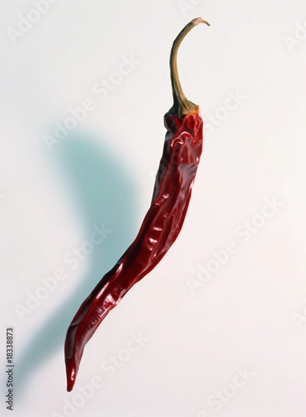 Obraz Chilischote rot