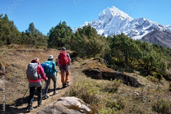 Fototapeta Group of backpackers trekking through pine forest to Everest Base Camp, snow-capped peak of Ama Dablam dominating background in Nepal Himalayas.