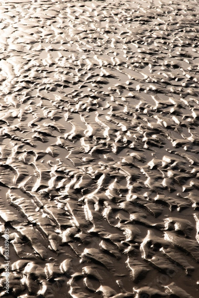 Fototapeta Ondulations sur le sable humide à la lumière du soir, format vertical
