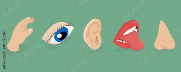 Fototapeta Five senses concept. Hearing with ear, looking with eye, smelling with nose, tasting with mouth, touching with hand. Sensory perceptions with organs. Flat isometric style.