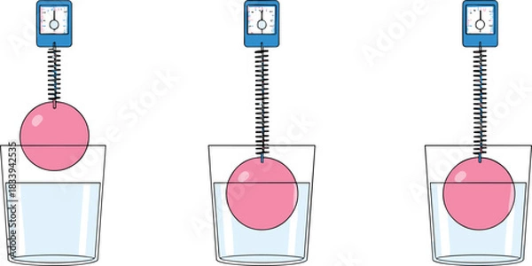 Fototapeta Three-stage physics diagram of buoyant force showing submerged object on spring scale demonstrating Archimedes’ principle