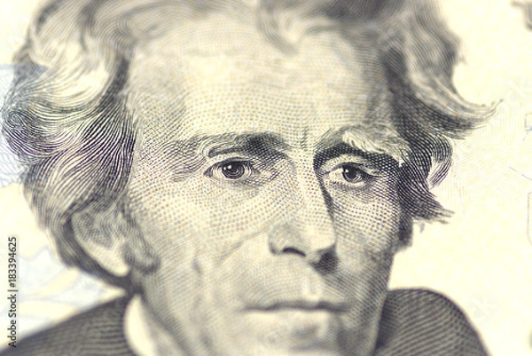 Obraz Andrew Jackson portrait from us 20 dollars.