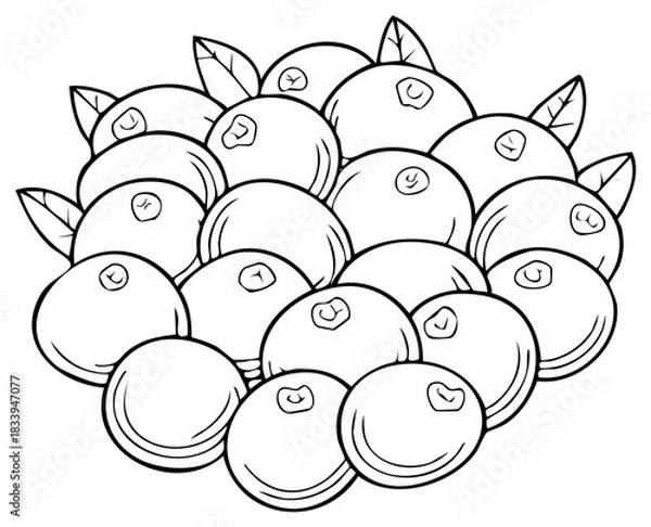 Obraz Simple black and white line art of a pile of fresh blueberries with leaves for coloring.
