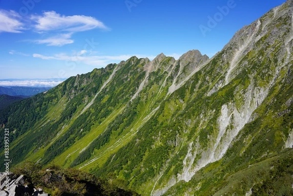 Obraz 北アルプス　カモシカの立場から望む西穂高岳