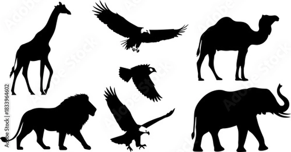 Obraz Silhouettes of wild animals giraffe, eagle, camel, lion and elephant in black color wildlife and nature concept