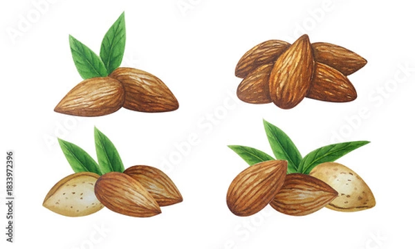 Obraz Watercolor almond nut banner group. White background. For your design	